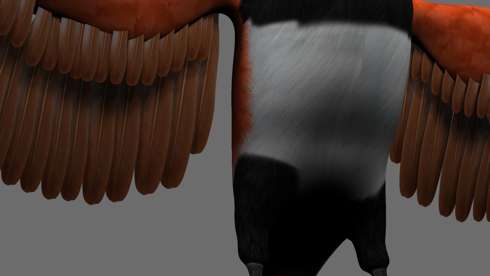 Munia Rigging and Animation 3D model_41