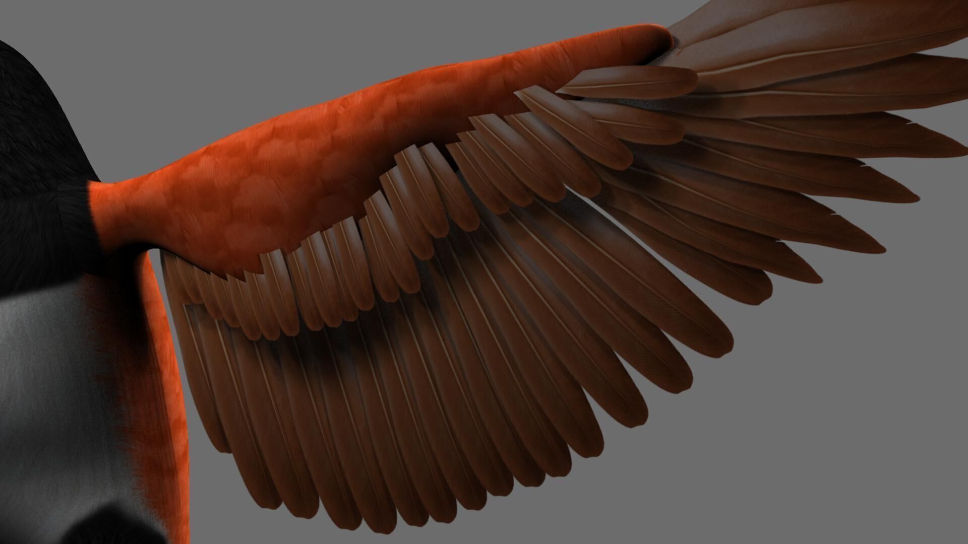 Munia Rigging and Animation 3D model_43