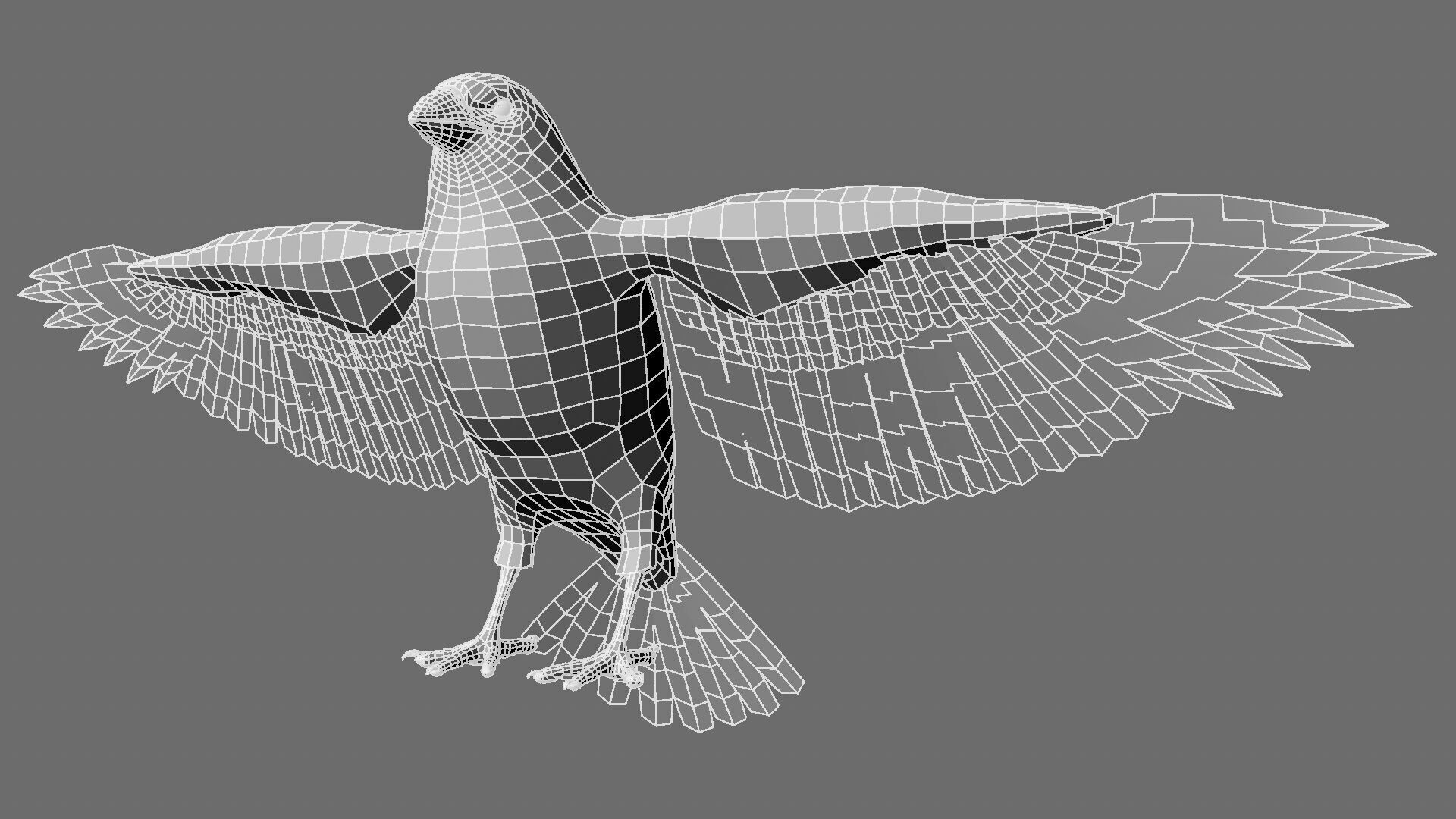 Munia Rigging and Animation 3D model_16