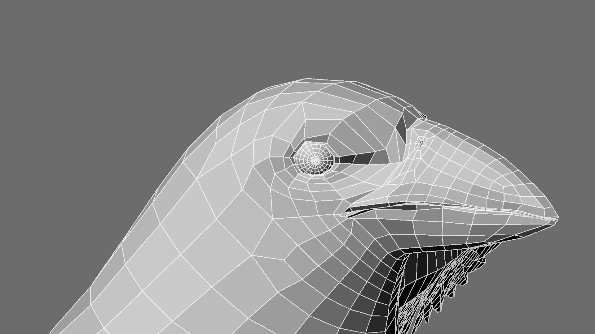 Munia Rigging and Animation 3D model_37