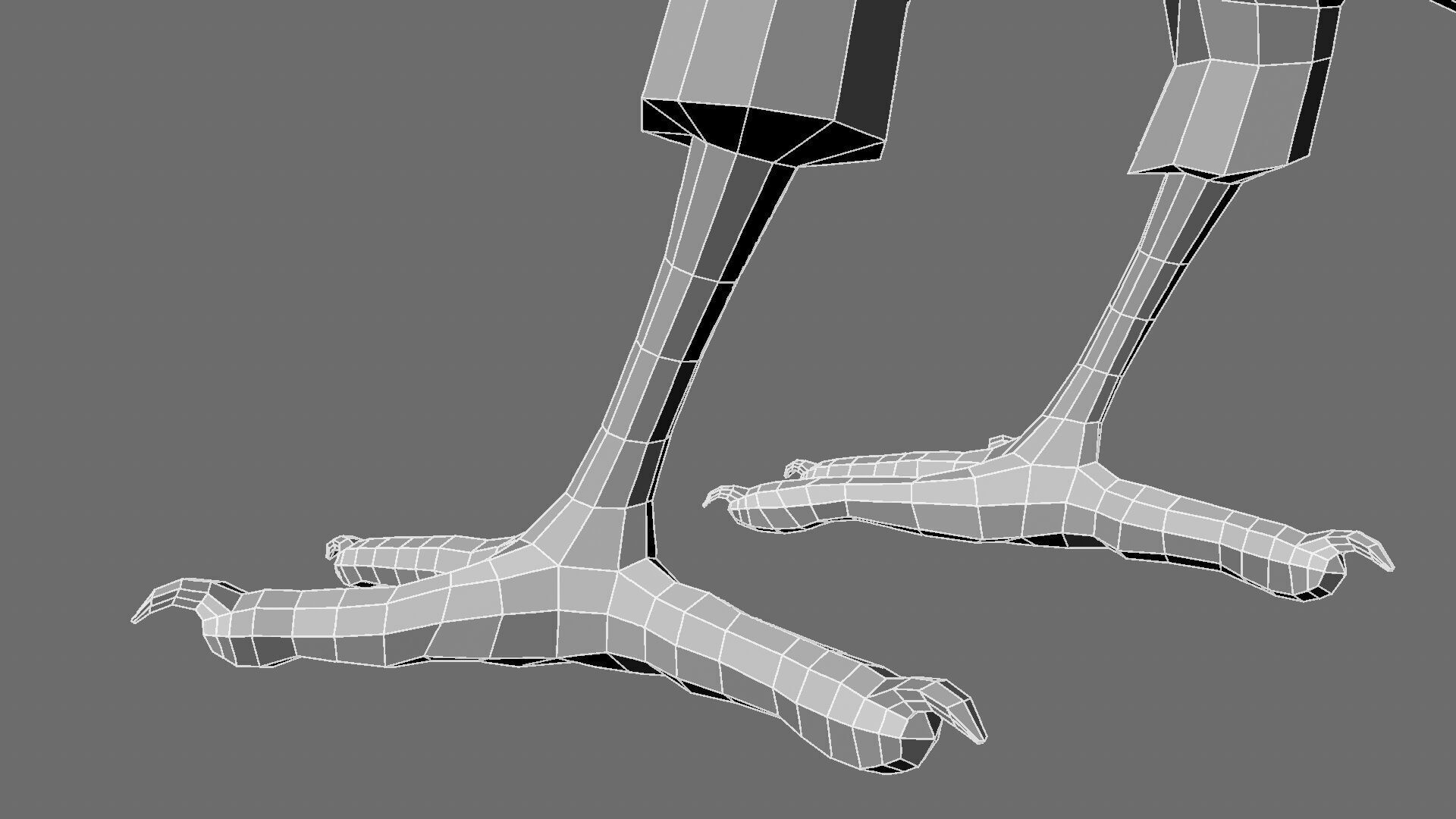 Munia Rigging and Animation 3D model_33