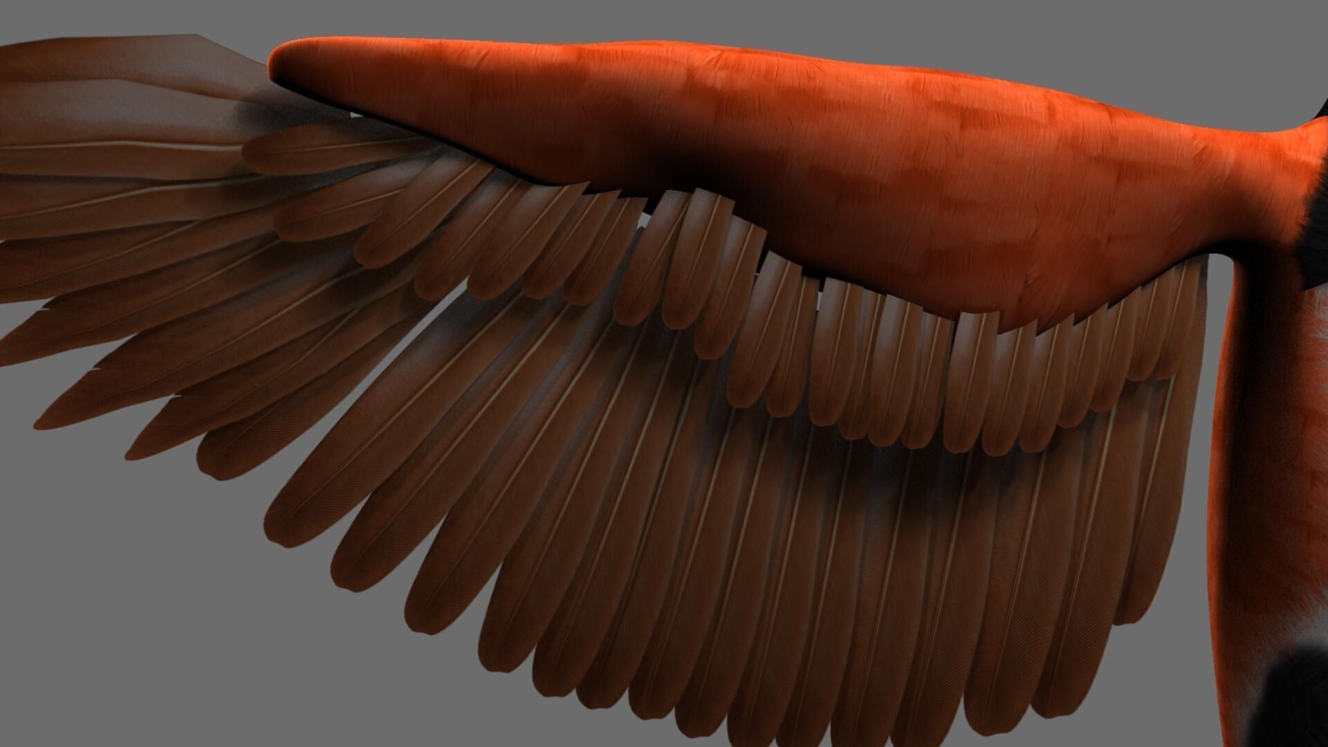 Munia Rigging and Animation 3D model_40