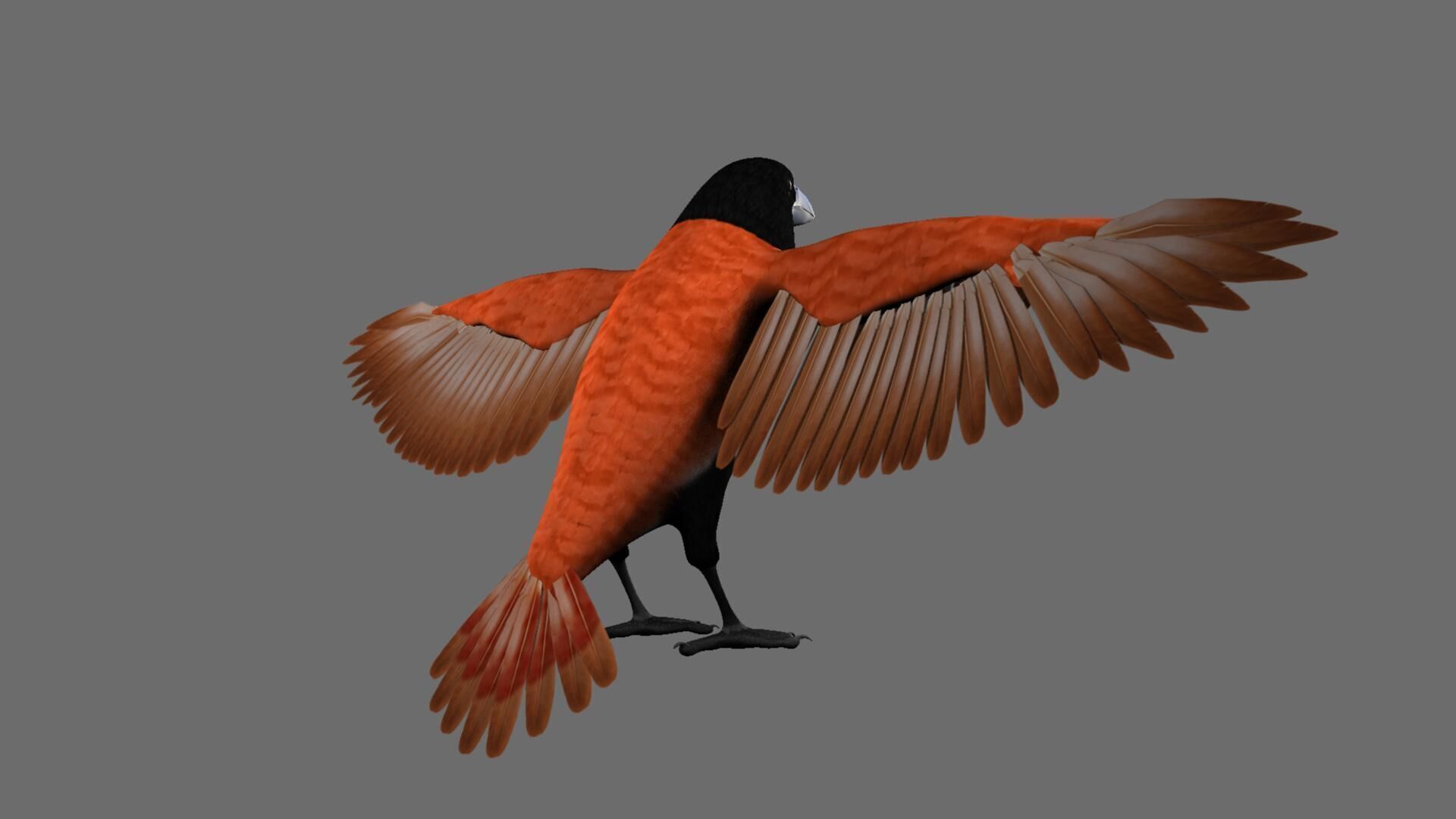 Munia Rigging and Animation 3D model_24