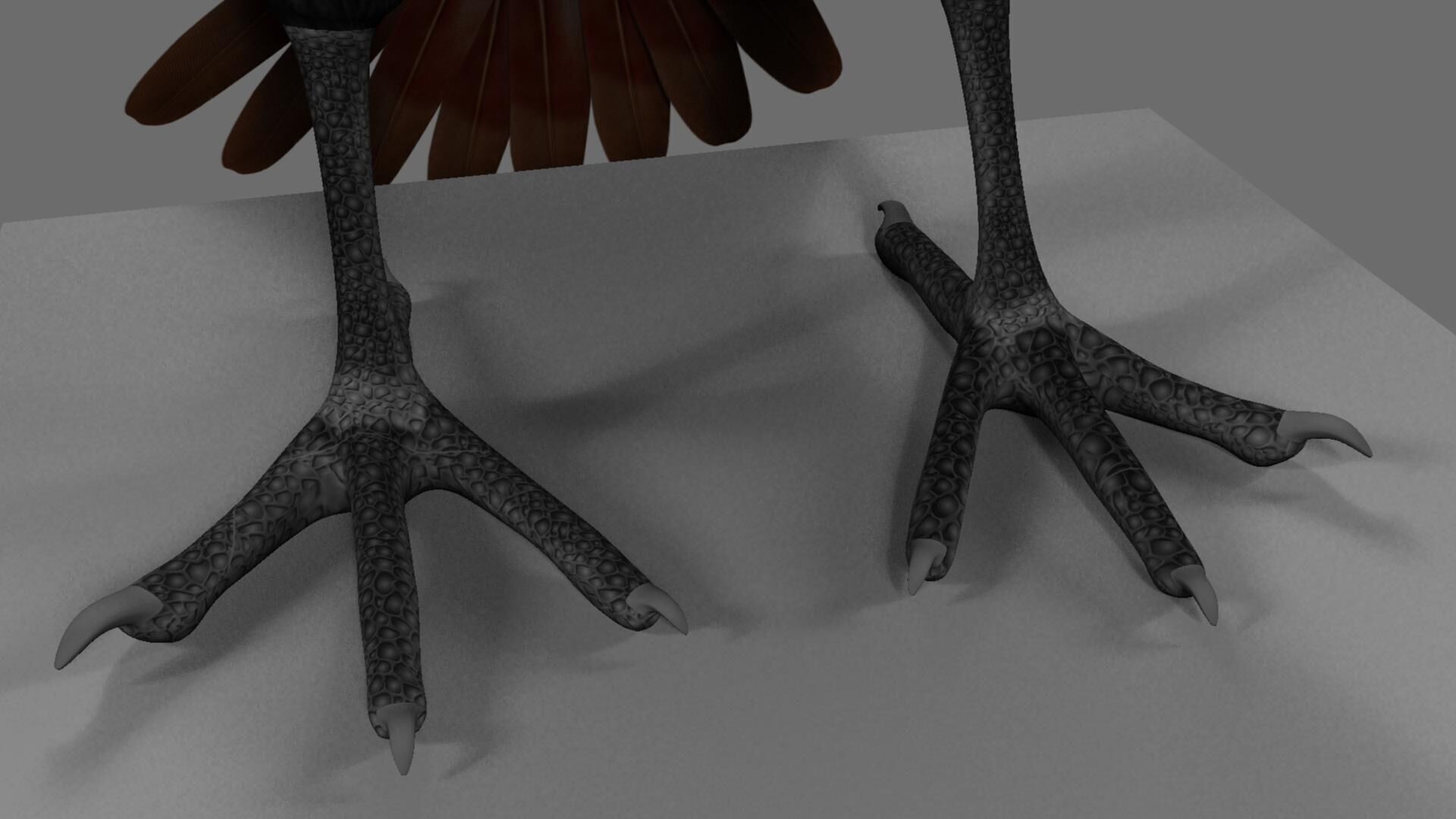 Munia Rigging and Animation 3D model_8