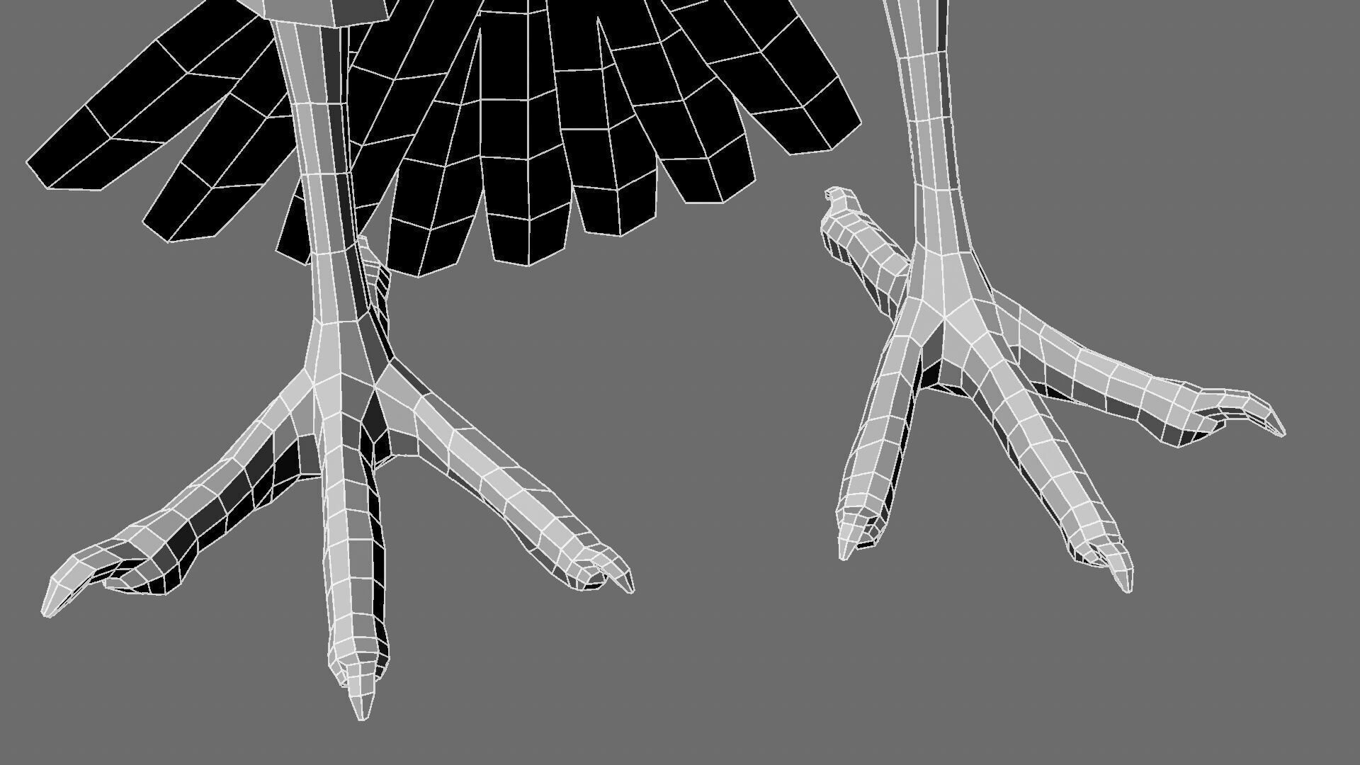 Munia Rigging and Animation 3D model_31