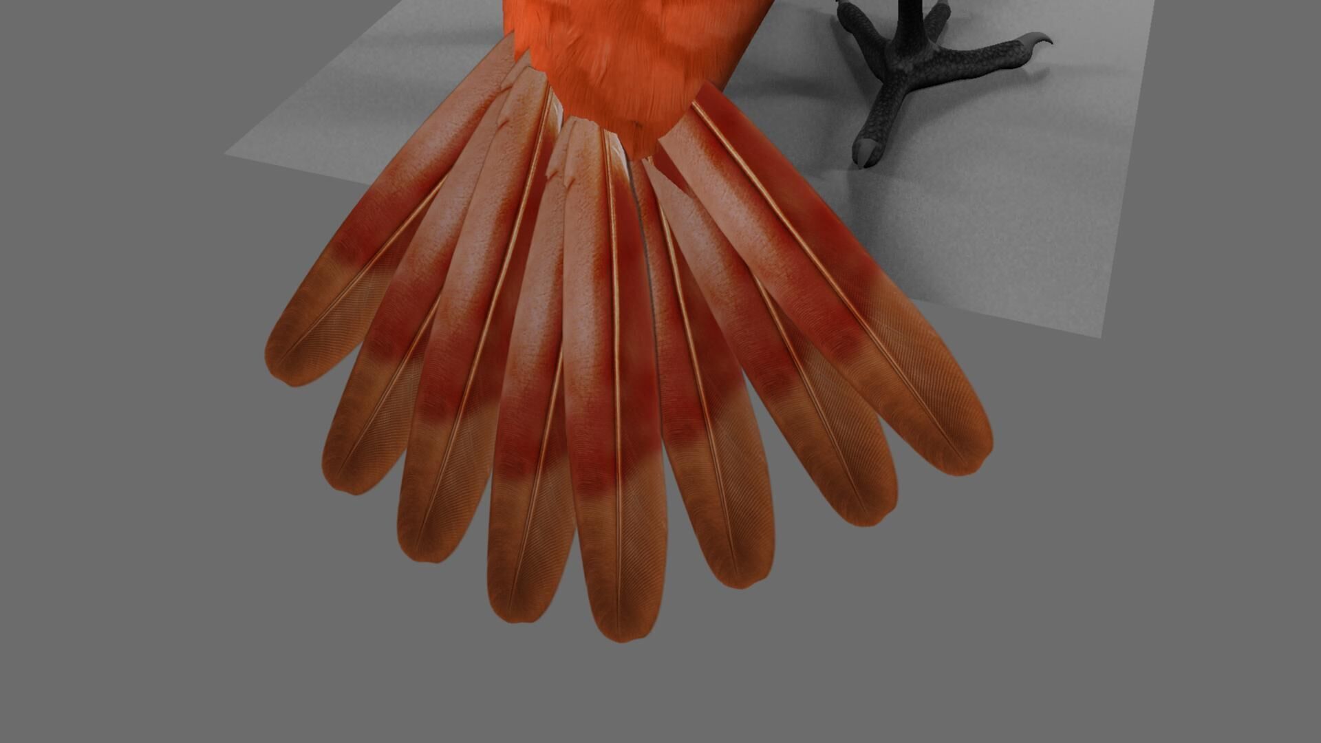 Munia Rigging and Animation 3D model_4