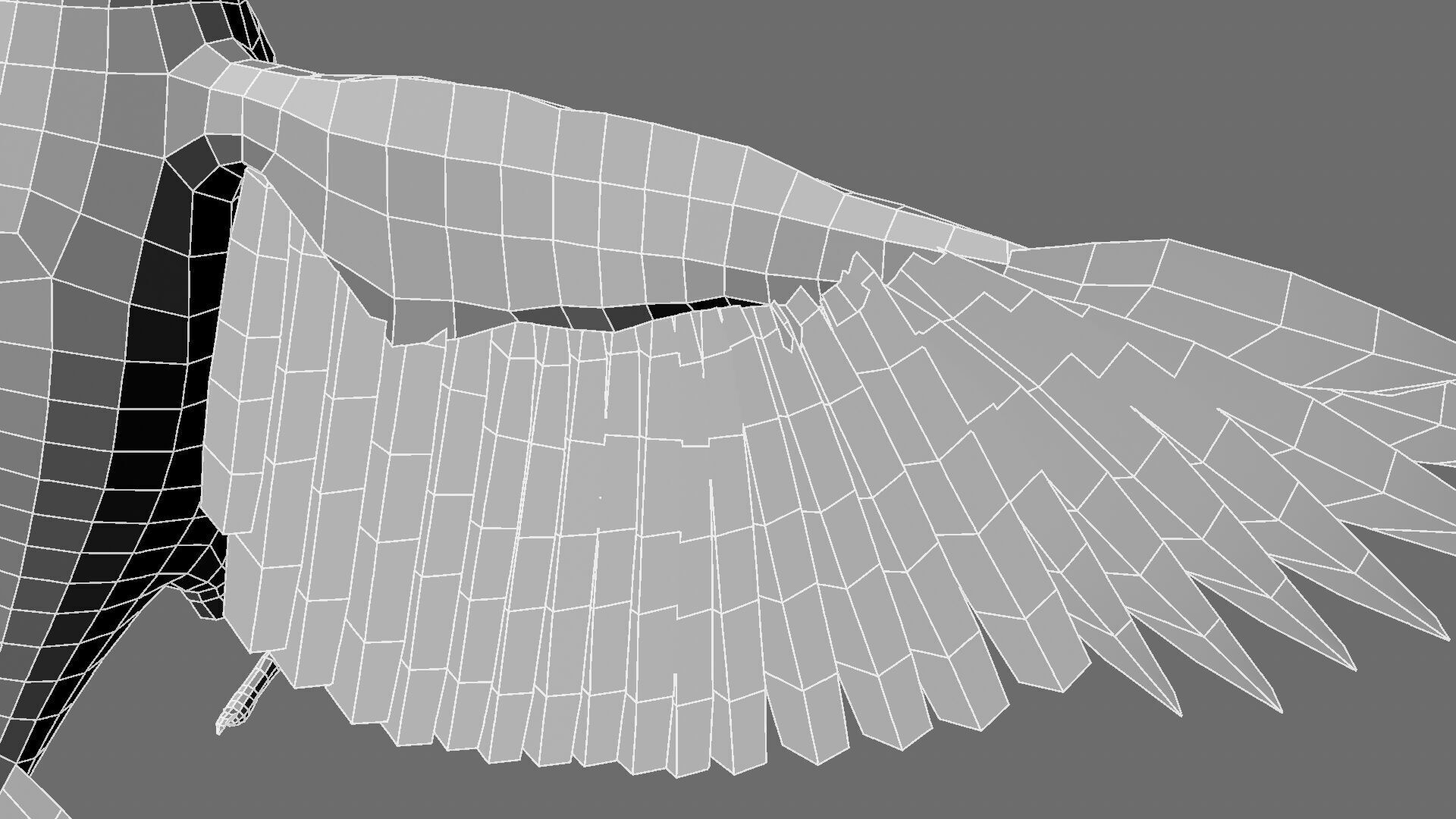 Munia Rigging and Animation 3D model_26