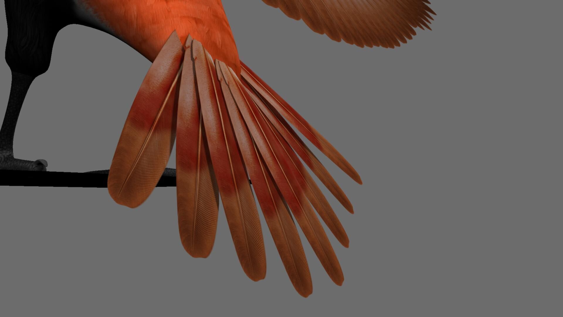 Munia Rigging and Animation 3D model_6