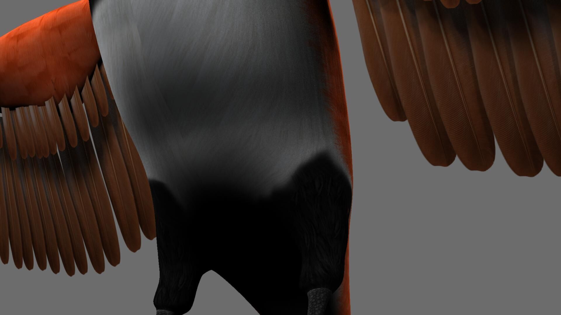 Munia Rigging and Animation 3D model_42