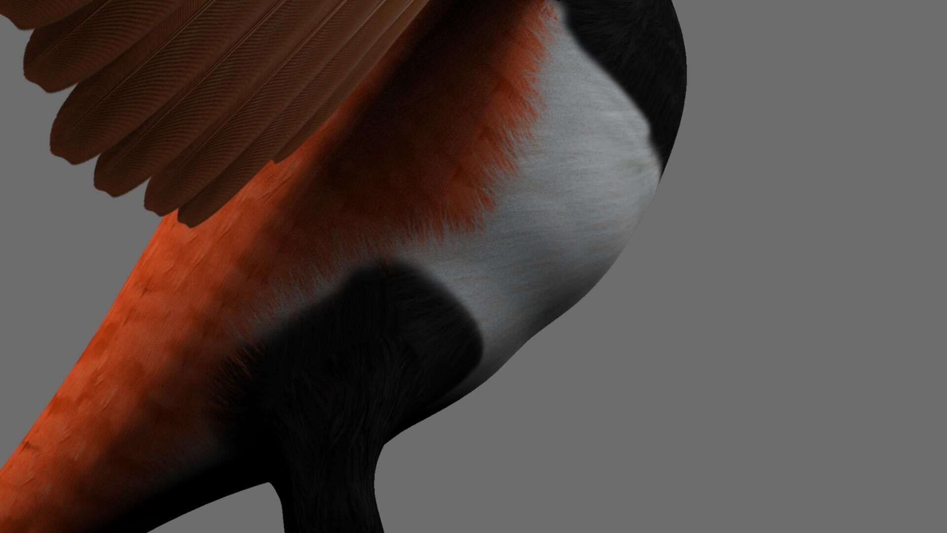 Munia Rigging and Animation 3D model_12