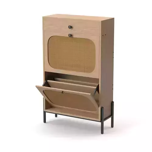 Shoe Storage Cabinet