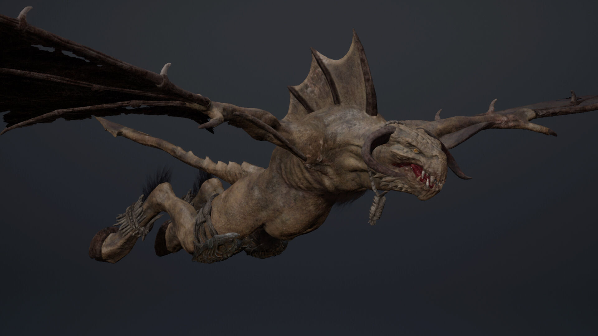 Ghosttail 2 Low-poly 3D model_7