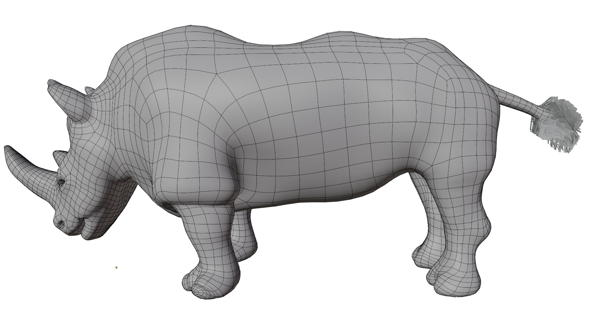 Rhinoceros 3D model_10