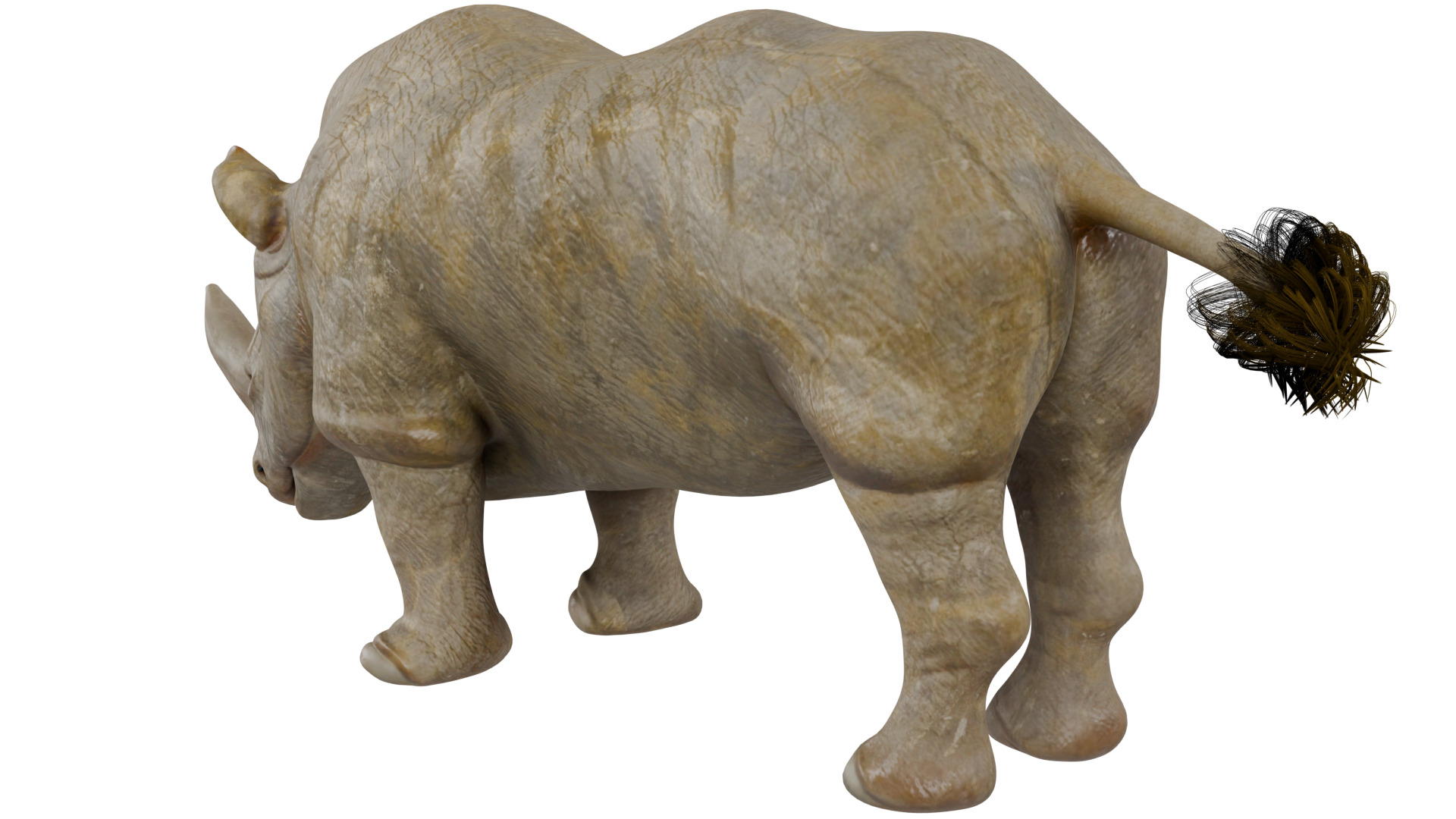 Rhinoceros 3D model_2