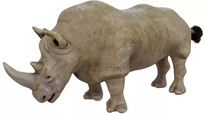 Rhinoceros 3D model
