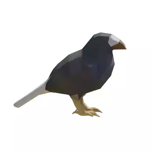 Low Poly Bird Crow