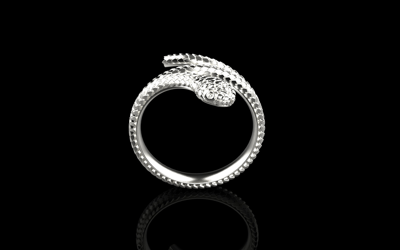 Snake ring model 1347 3D print model_19