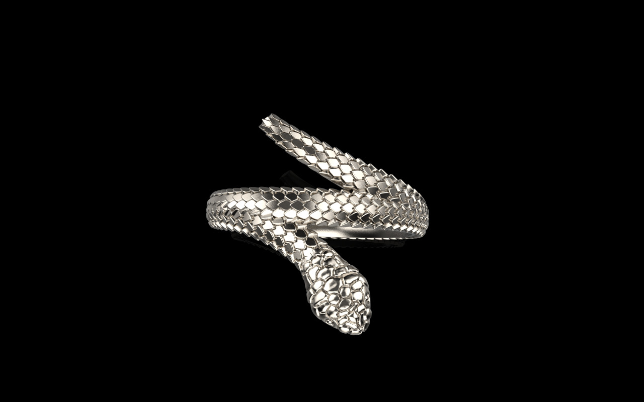 Snake ring model 1347 3D print model_12