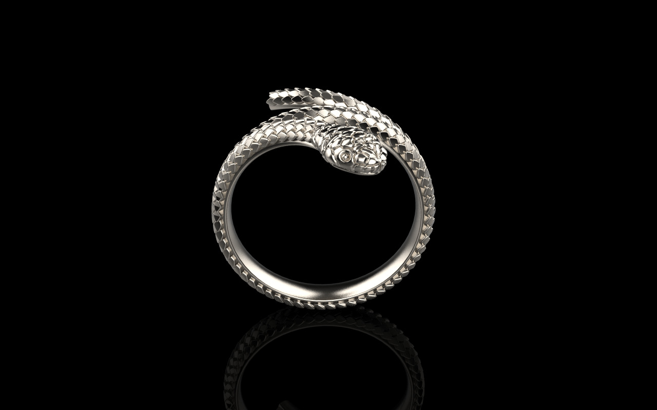 Snake ring model 1347 3D print model_17