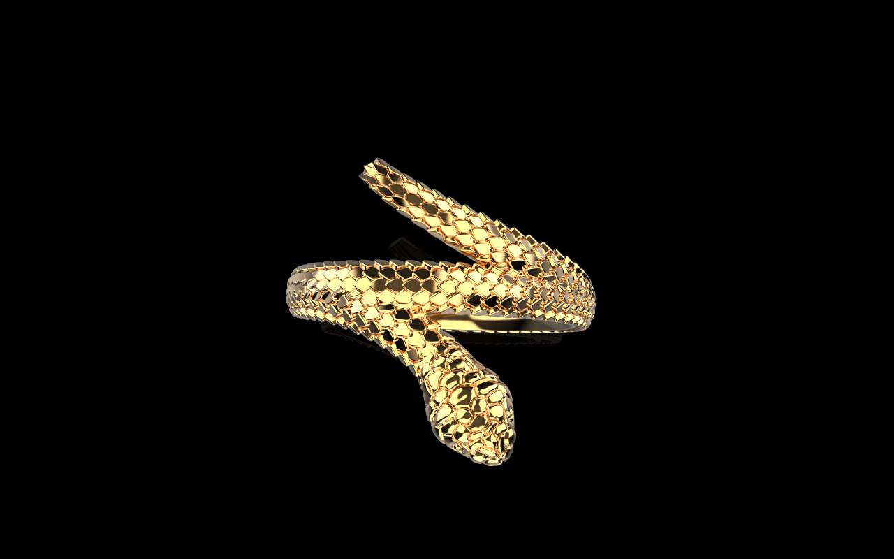 Snake ring model 1347 3D print model_11