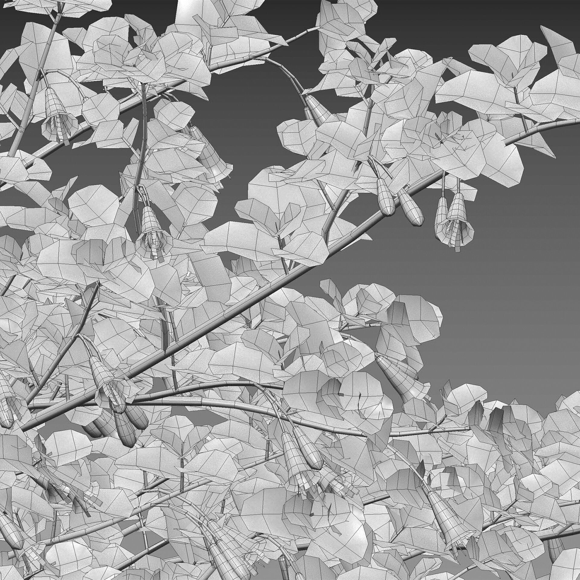 Correa reflexa - Native Fuchsia - Grevillea wilsonii 01- GrowFX 3D model_5