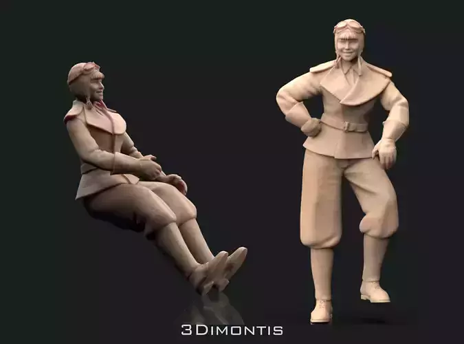 Women Pilots 3D print model