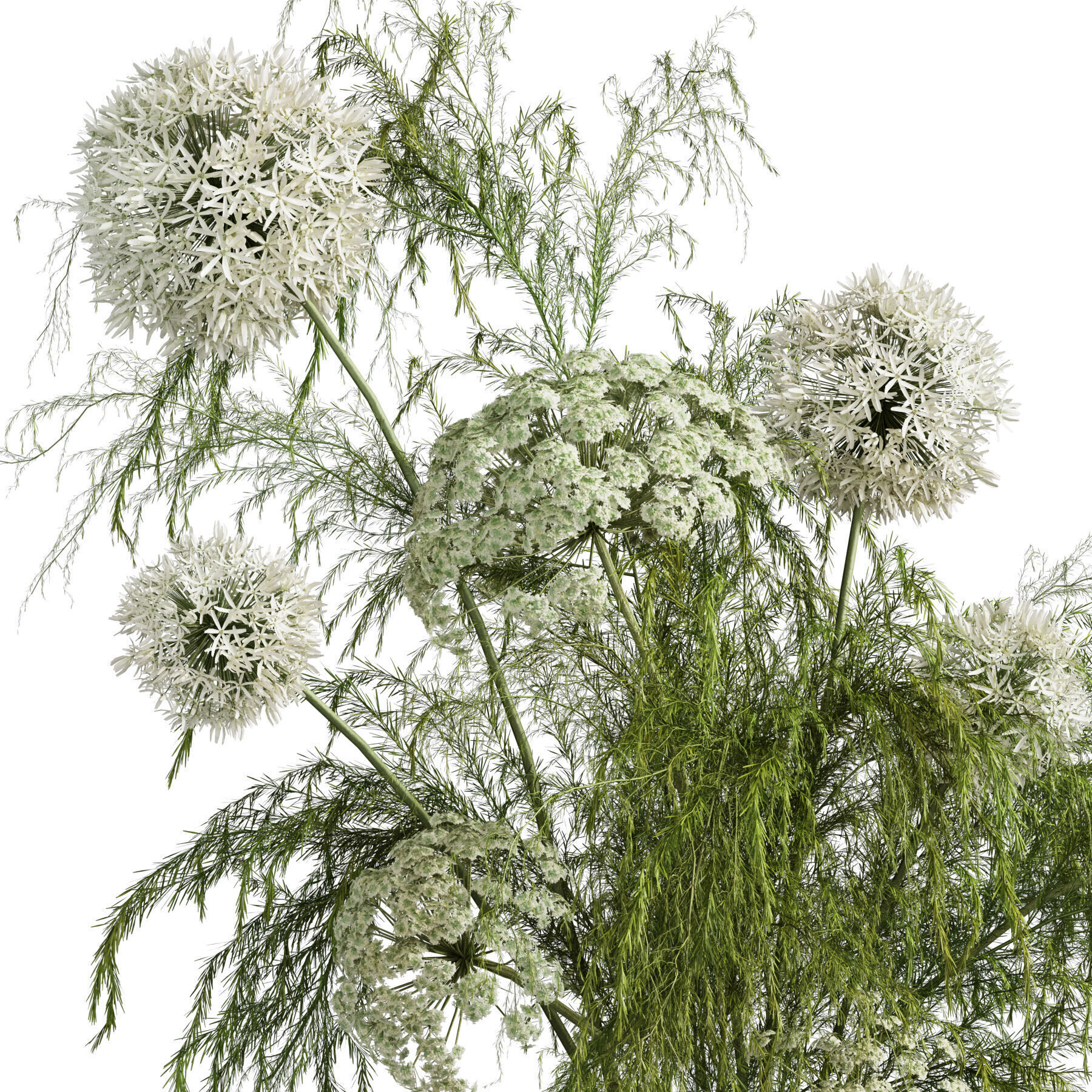 Flower In Vase 50 3D model_5