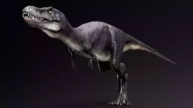 Dinosaur Juvenile Tyrannosaurus Rex  Unreal Engine Project