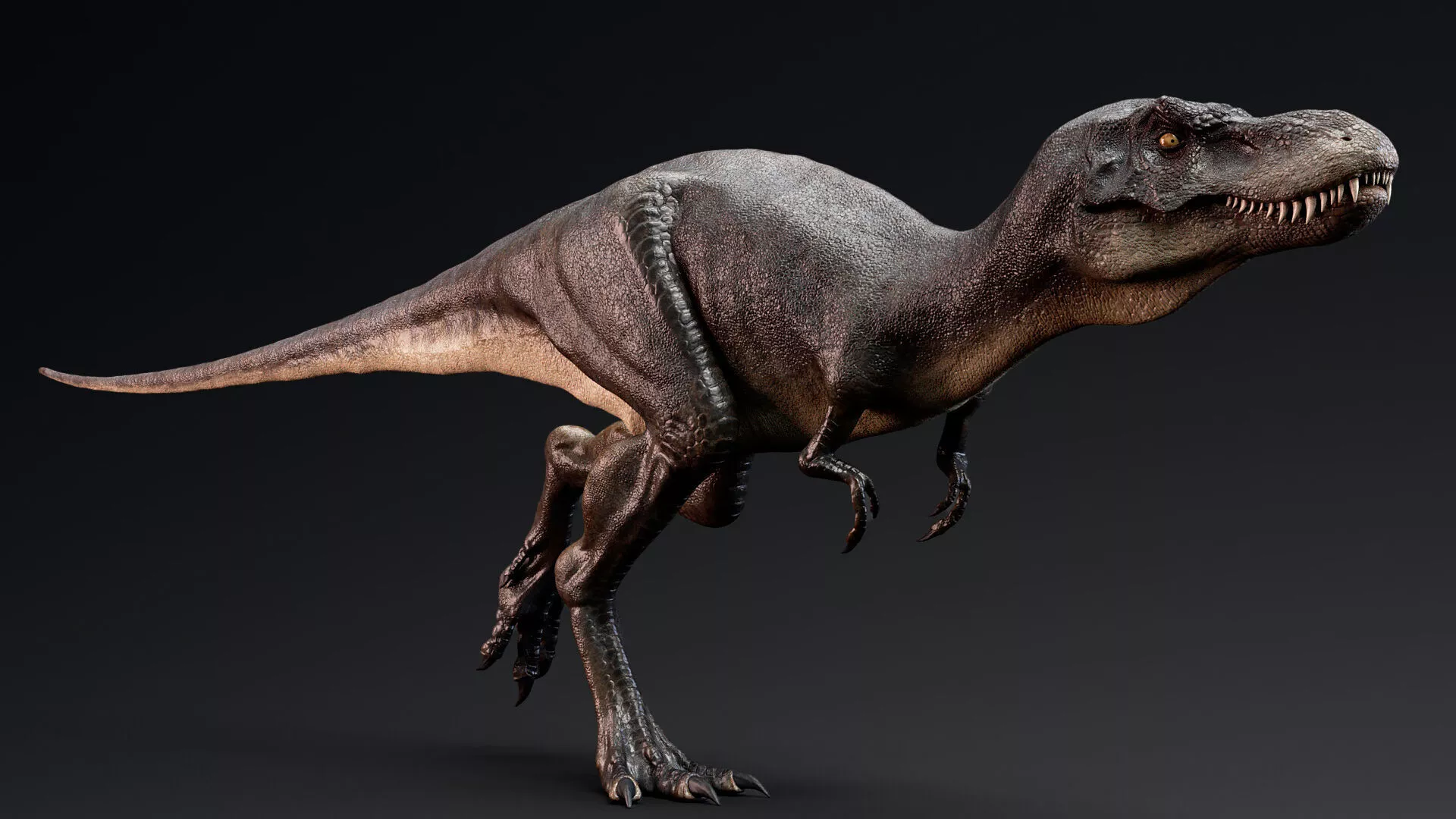 Dinosaur Juvenile Tyrannosaurus Rex - Unity Project Low-poly 3D model