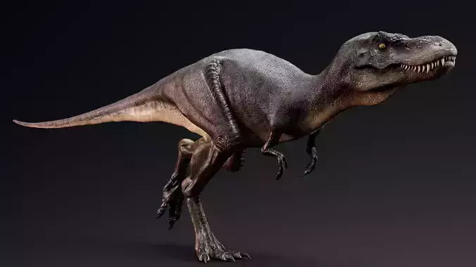 Dinosaur Juvenile Tyrannosaurus Rex - Unity Project Low-poly 3D model