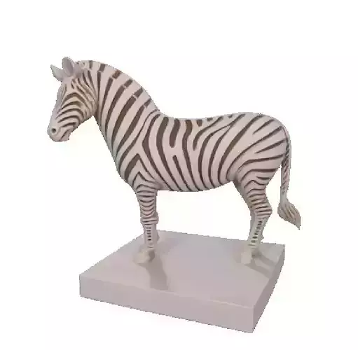 619  Hollow African  Zebra    Full Body   3D Model