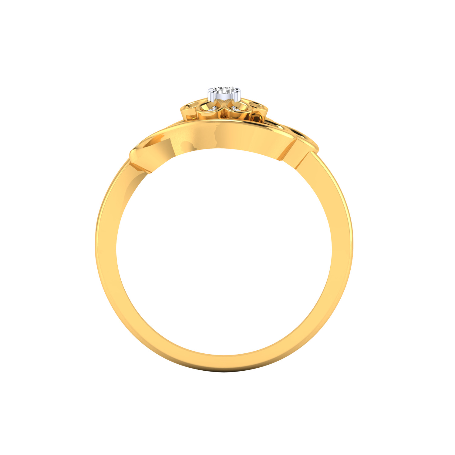 Women Ring Render 3dm STL MTL SLC JCD OBJ FBX Details 3D print model_24