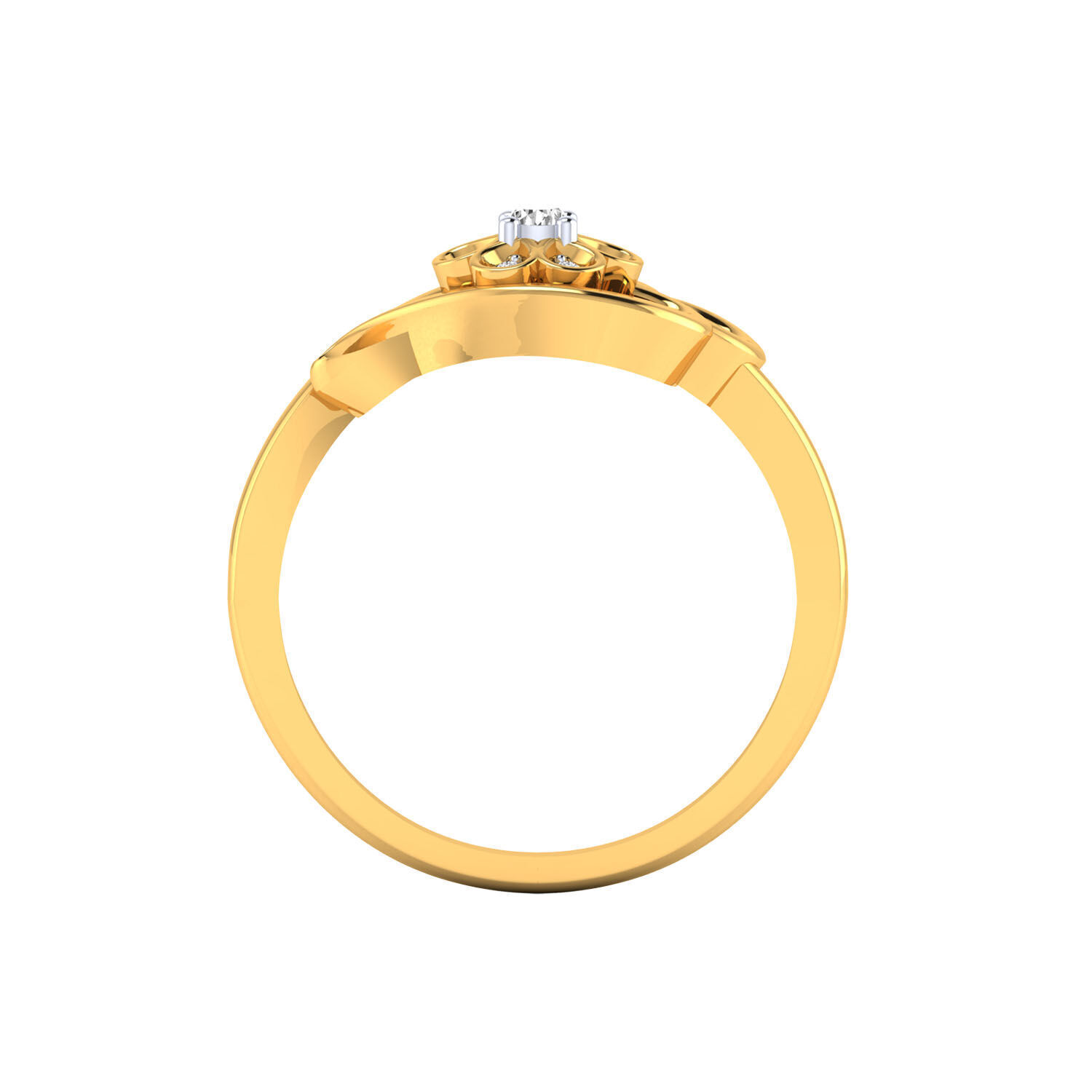 Women Ring Render 3dm STL MTL SLC JCD OBJ FBX Details 3D print model_23