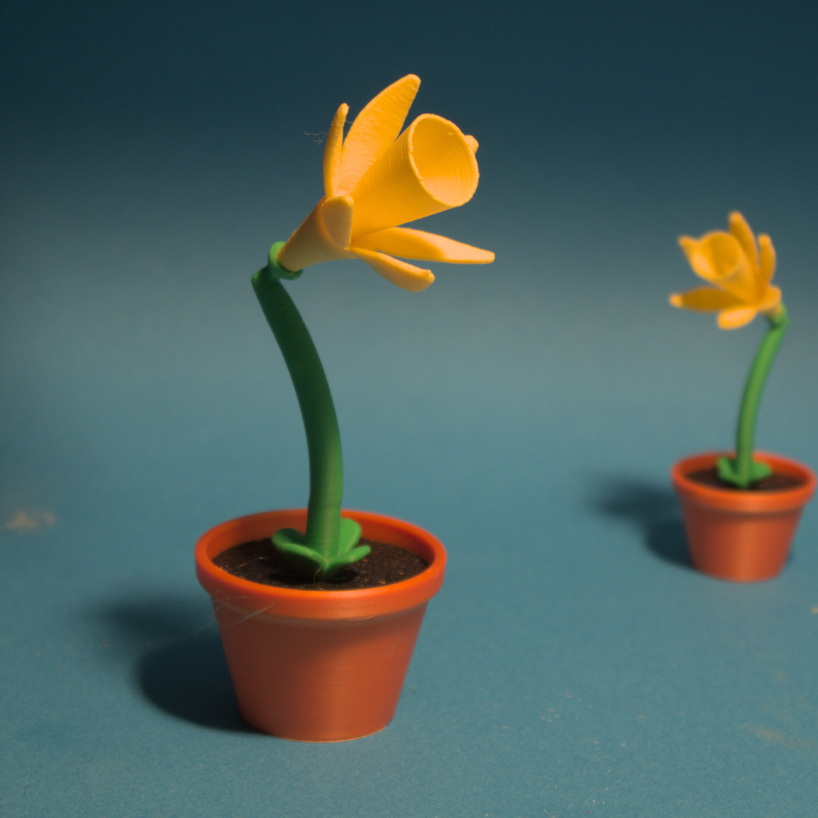 small daffodil 3MF 3D print model_2
