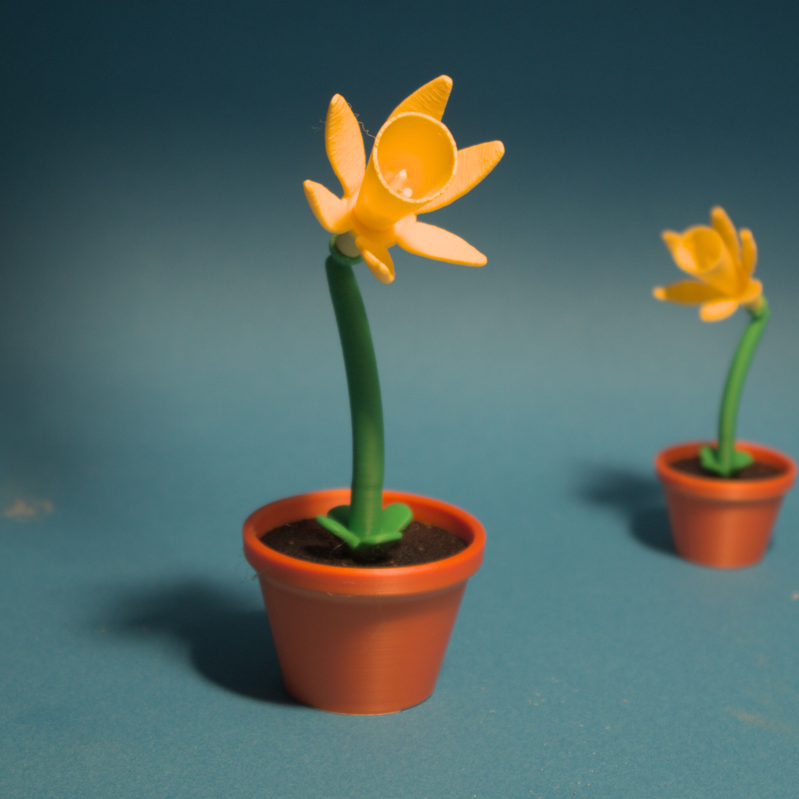 small daffodil 3MF 3D print model_1
