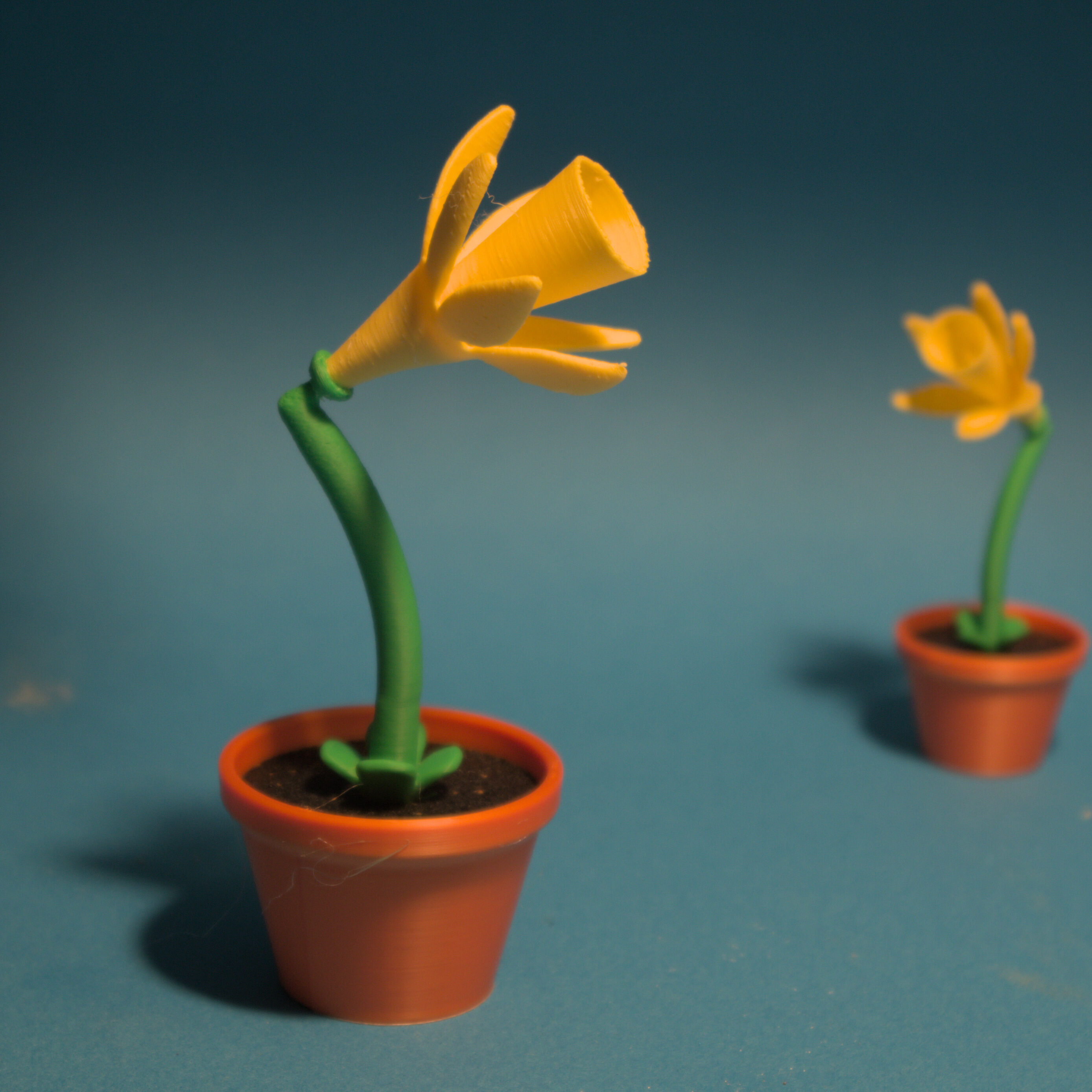 small daffodil 3MF 3D print model_3