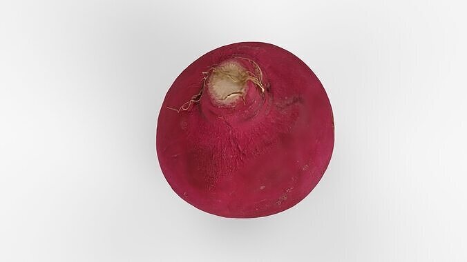 Red Radish - Whole Root Vegetable Scan Low-poly 3D model 6