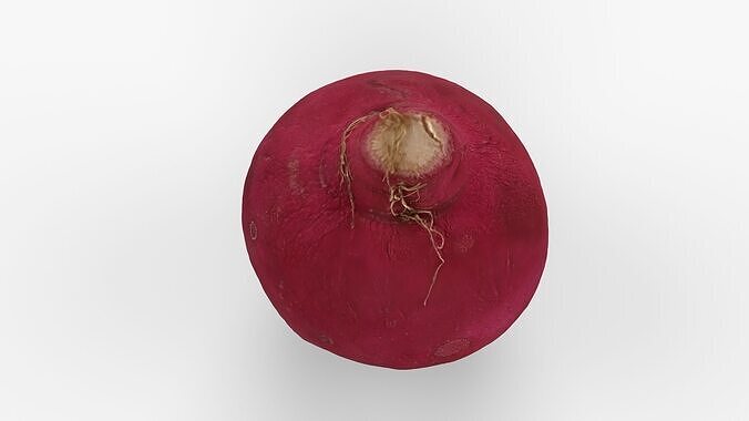 Red Radish - Whole Root Vegetable Scan Low-poly 3D model 3
