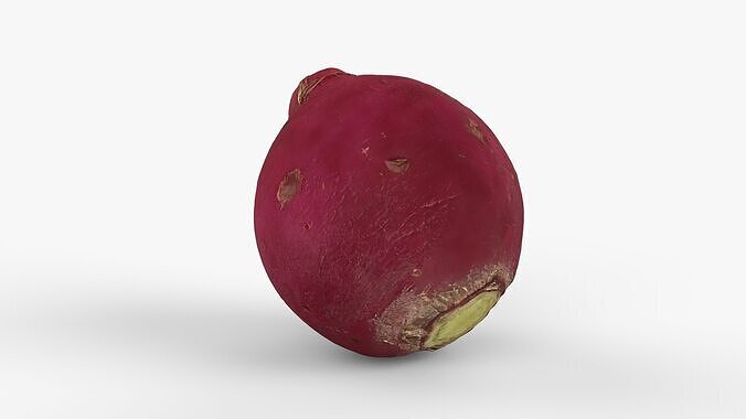 Red Radish - Whole Root Vegetable Scan Low-poly 3D model 7