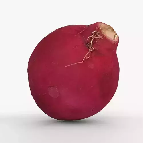 Red Radish - Whole Root Vegetable Scan