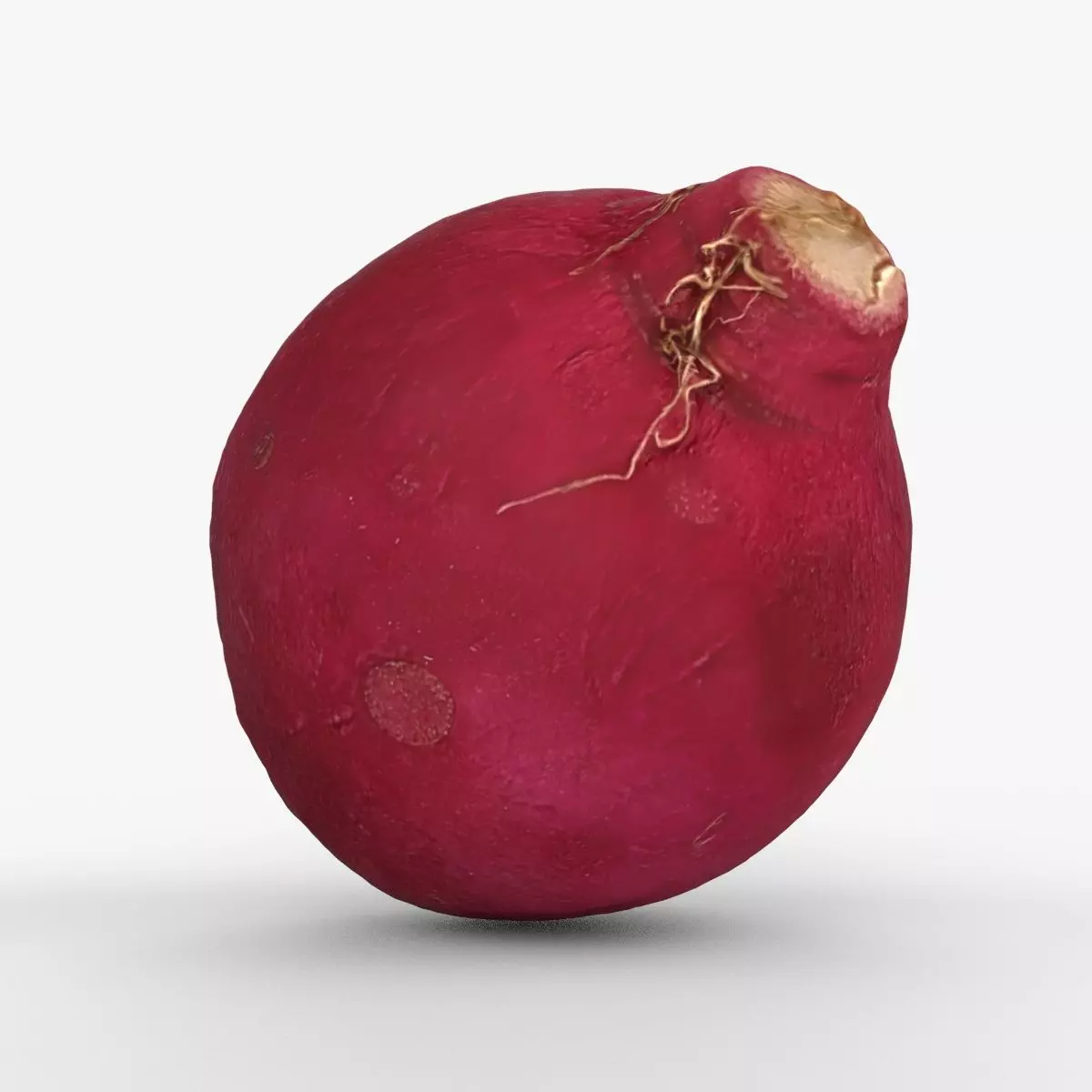 Red Radish - Whole Root Vegetable Scan Low-poly 3D model