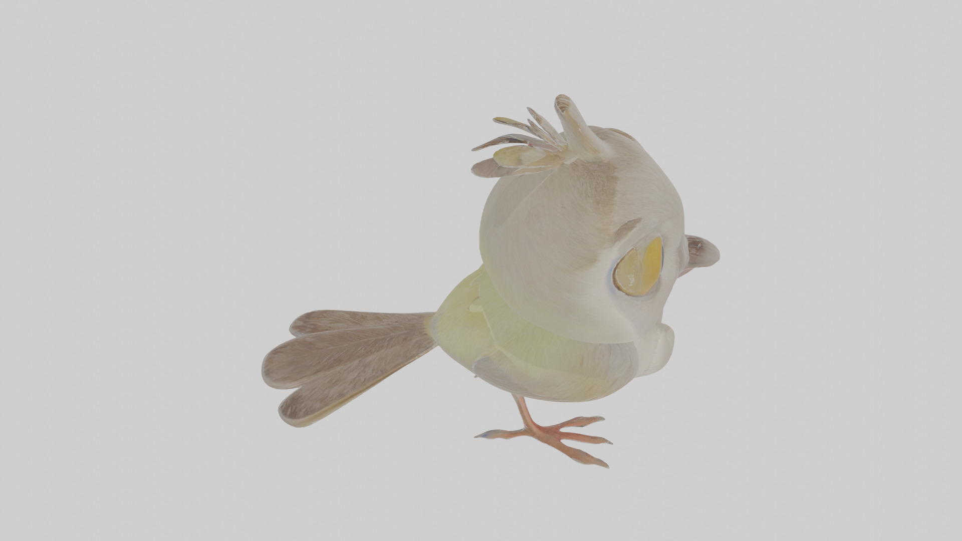 Cartoon Gerygone Low-poly 3D model_28