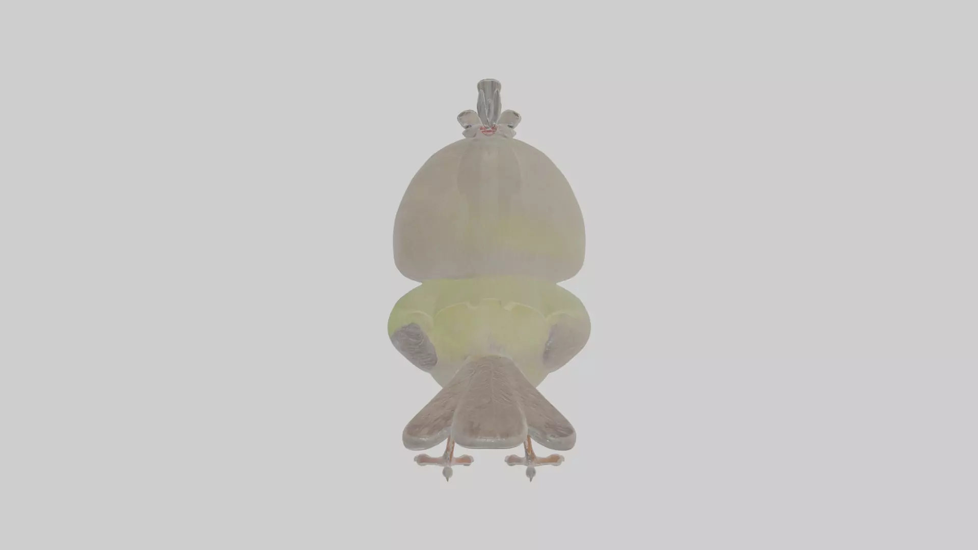 Cartoon Gerygone Low-poly 3D model_0