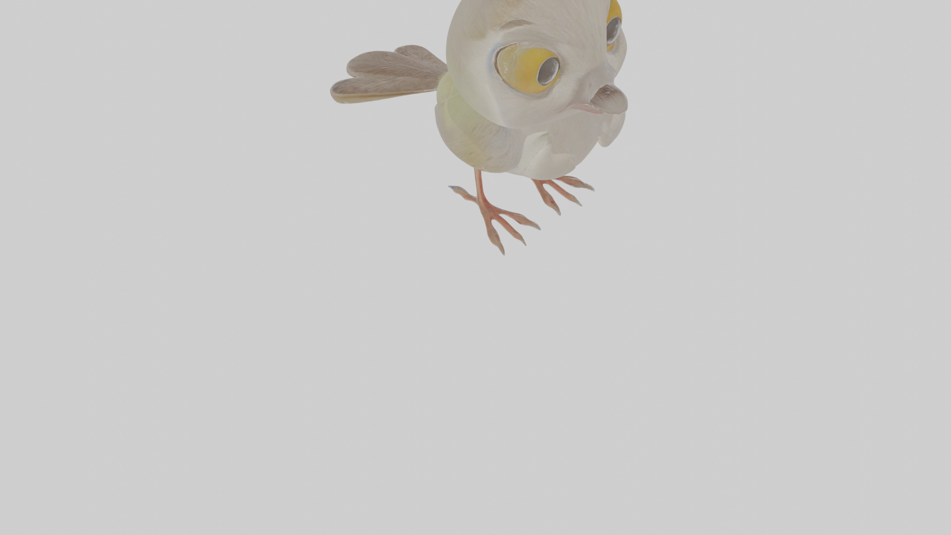 Cartoon Gerygone Low-poly 3D model_10