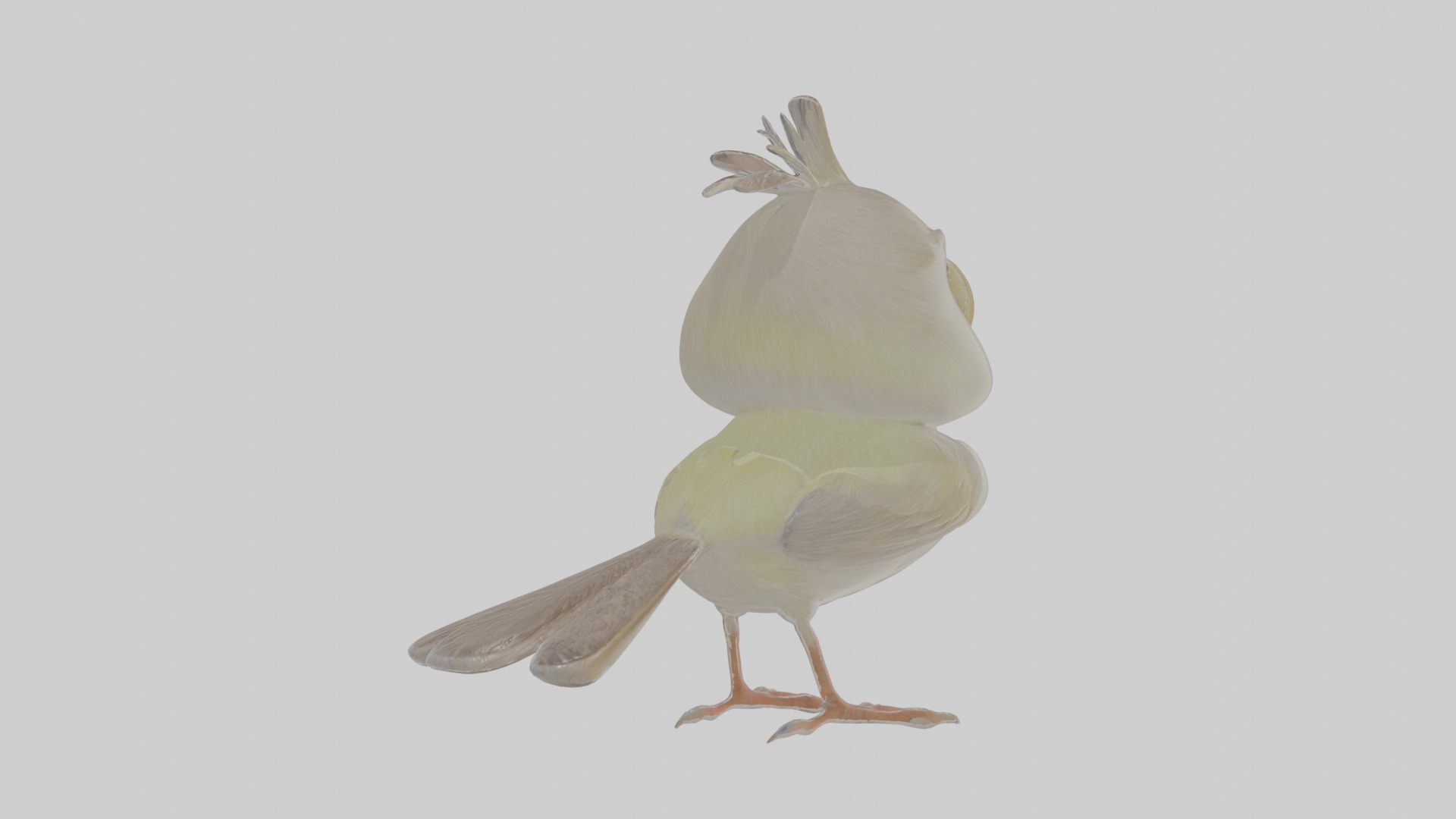 Cartoon Gerygone Low-poly 3D model_4