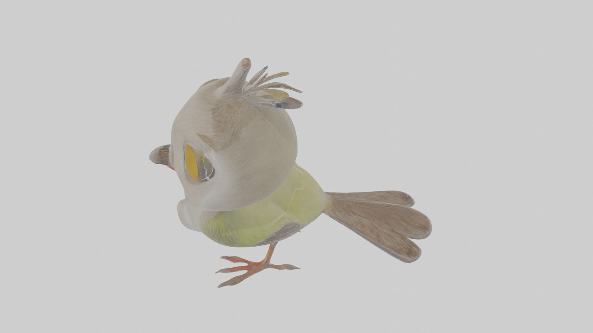 Cartoon Gerygone Low-poly 3D model_26