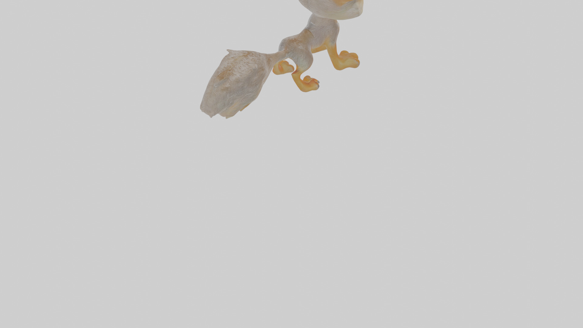 Cartoon Jackal Low-poly 3D model_7