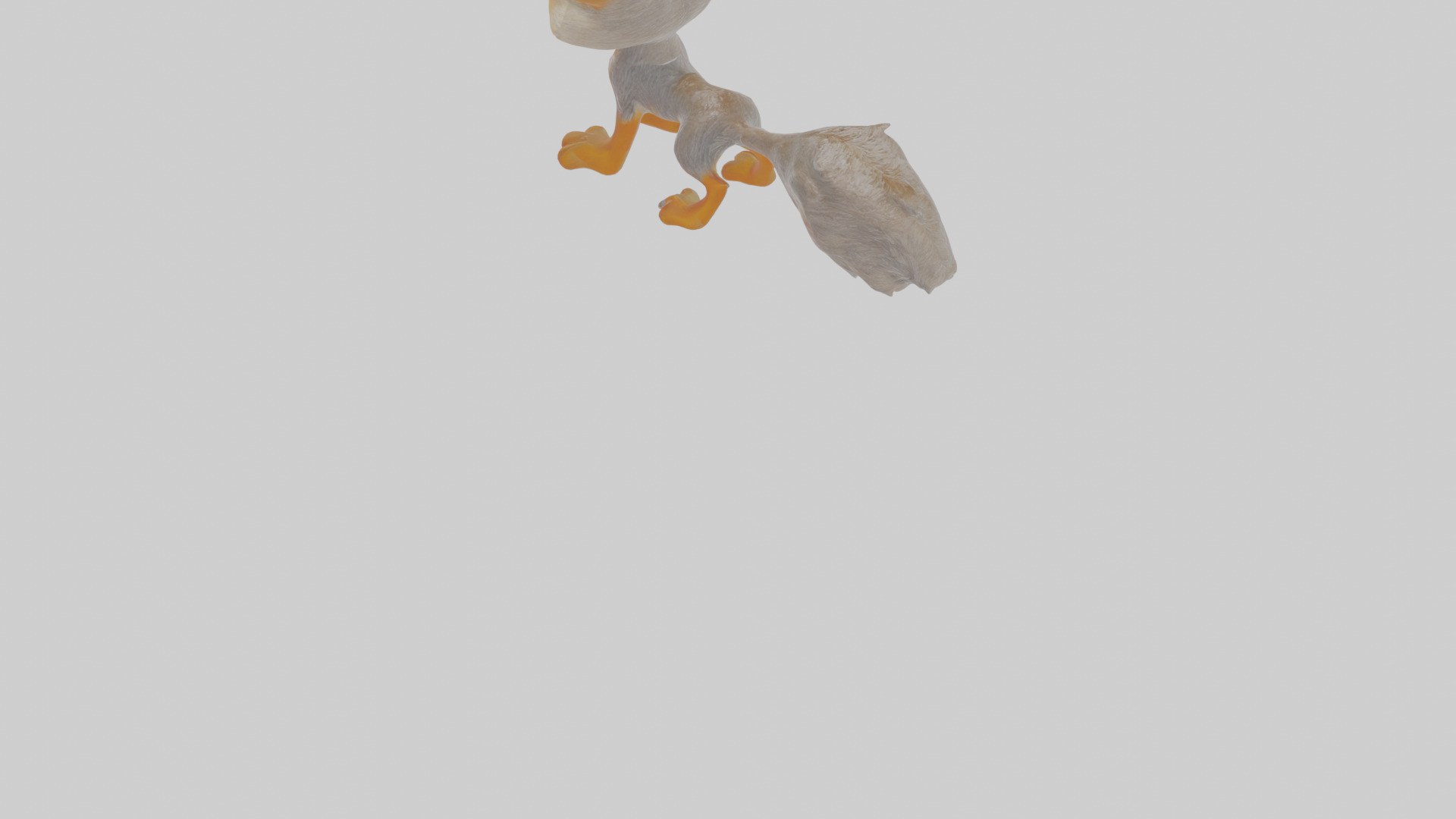 Cartoon Jackal Low-poly 3D model_5