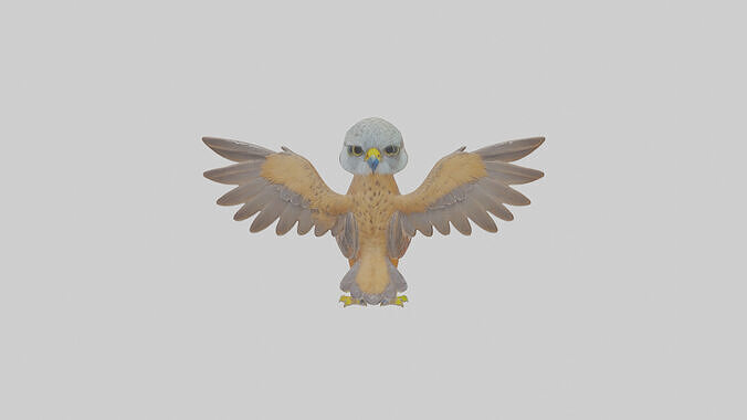 Cartoon Kestrel Low-poly 3D model