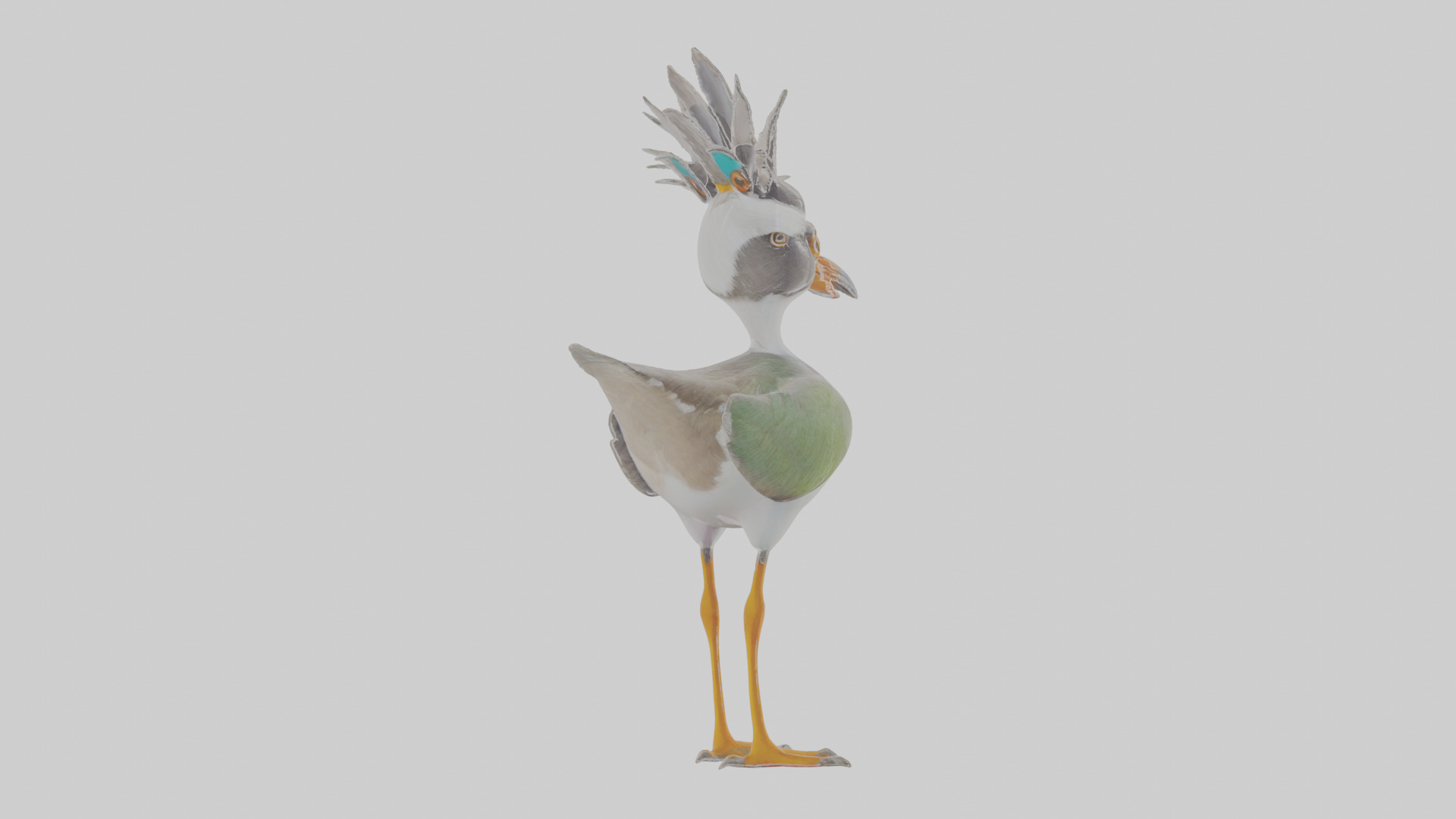 Cartoon Lapwing Low-poly 3D model_3